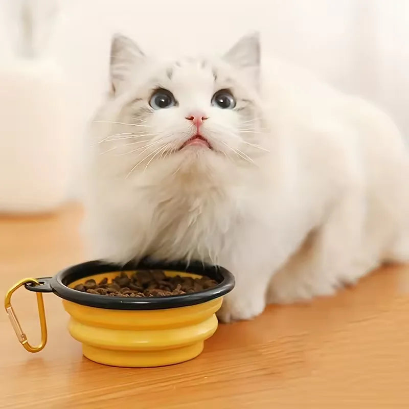 Futternapf für Hunde & Katzen - Vireli