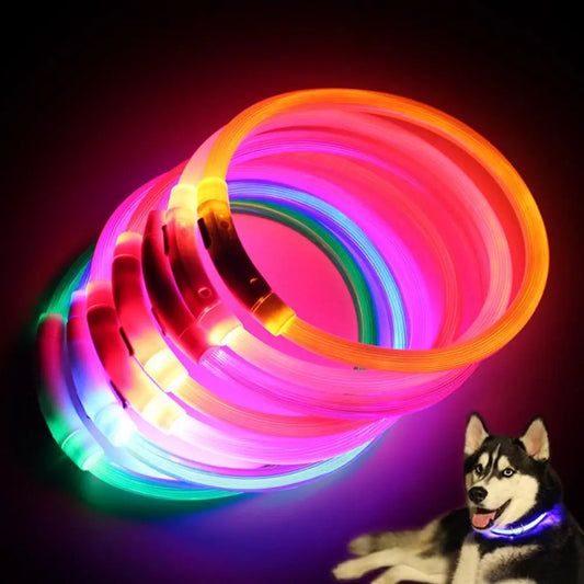 LED-Hundehalsband - Vireli